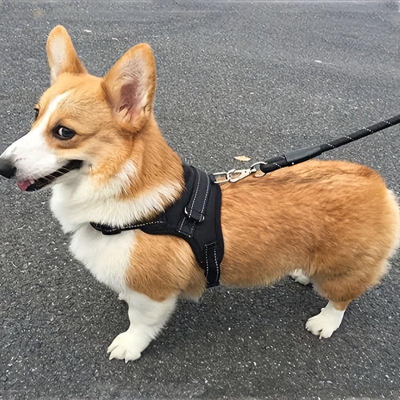 Comfortable Pet Harness and Leash Set for Dogs - Ideal for Walking and Traveling