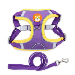 Reflective Dog Vest & Leash Set for Safe Outdoor Walking