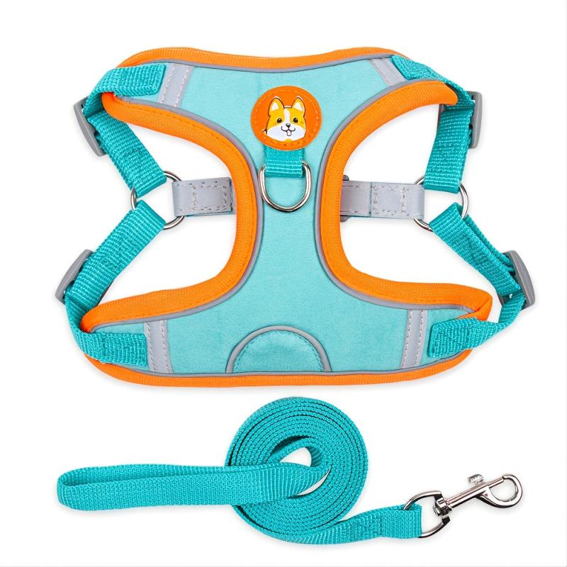 Reflective Dog Vest & Leash Set for Safe Outdoor Walking