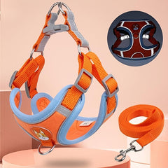 Reflective Dog Vest & Leash Set for Safe Outdoor Walking