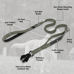 Reflective Bungee Dog Leash with 2 Mode Handles