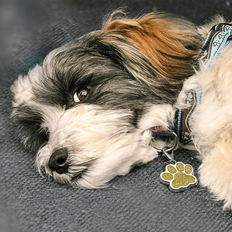 Custom Glitter Footprint Dog ID Tag