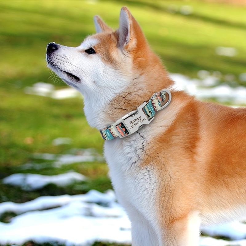 Custom Engraved Dog Collar Personalized Printed Pet Dog Tag Collar