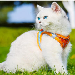 Adjustable Mesh Dog Harness Set Reflective Strip
