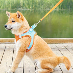 Adjustable Mesh Dog Harness Set Reflective Strip