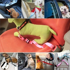 Adjustable Vehicle Safety Seatbelt for Pets - Car Dog Cat Harness