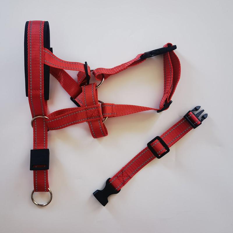 Dog Head Halter and No Pull Collar for Medium and Large Dogs