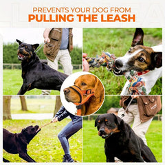 Dog Head Halter and No Pull Collar for Medium and Large Dogs