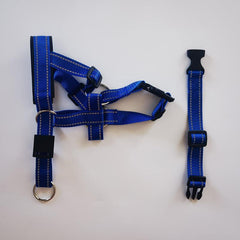 Dog Head Halter and No Pull Collar for Medium and Large Dogs