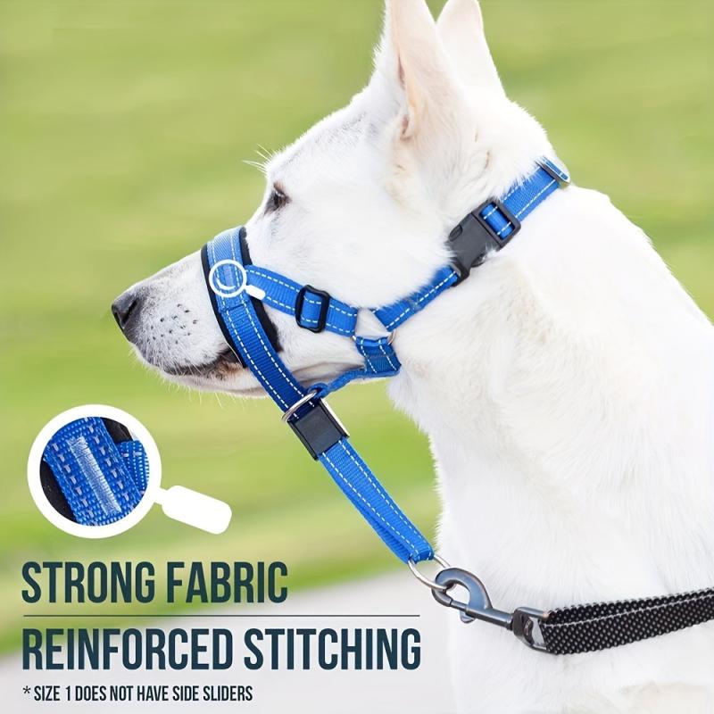 Dog Head Halter and No Pull Collar for Medium and Large Dogs