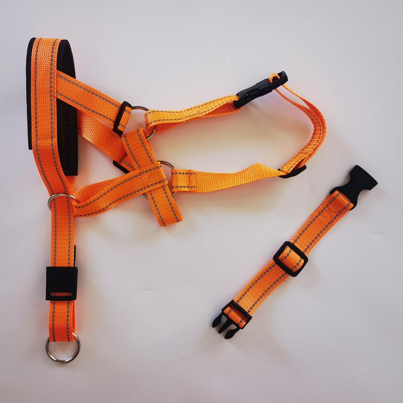 Dog Head Halter and No Pull Collar for Medium and Large Dogs
