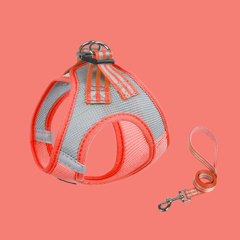 Adjustable No Pull Dog Harness & Leash Set for Walking Training
