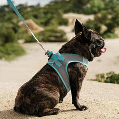 Adjustable No Pull Dog Harness & Leash Set for Walking Training