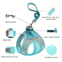 Adjustable No Pull Dog Harness & Leash Set for Walking Training