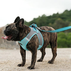 Adjustable No Pull Dog Harness & Leash Set for Walking Training