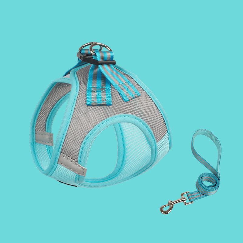 Adjustable No Pull Dog Harness & Leash Set for Walking Training