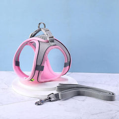 No Pull Comfort Harness & Leash Set for Dogs & Cats