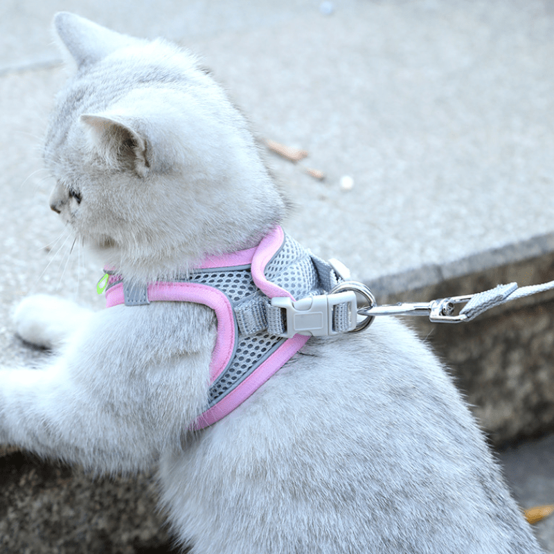 No Pull Comfort Harness & Leash Set for Dogs & Cats