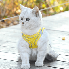 No Pull Comfort Harness & Leash Set for Dogs & Cats