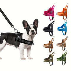 Reflective Padded Dog Vest Harness Set