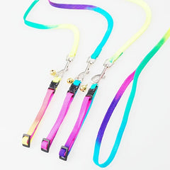 Multicolor Dog Leash for Small to Large Dogs - Brighten Up Your Walks