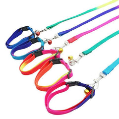 Multicolor Dog Leash for Small to Large Dogs - Brighten Up Your Walks