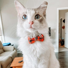 JOYTALE Plaid Cat Collars With Bow Tie Adjustable Comfortable Collar