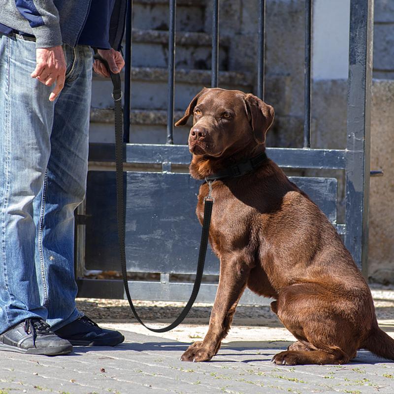 Reflective Dog Leash & Collar Set for Safety & Visibility