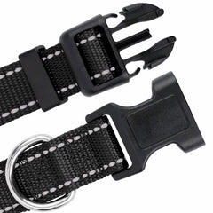 Reflective Dog Leash & Collar Set for Safety & Visibility