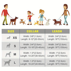 Reflective Dog Leash & Collar Set for Safety & Visibility