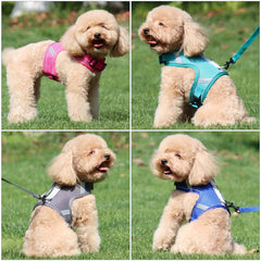 Breathable Mesh Dog Chest Strap for Walking Dogs