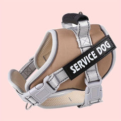 Reflective Pet Harness With Handle for Dogs Walking & Running