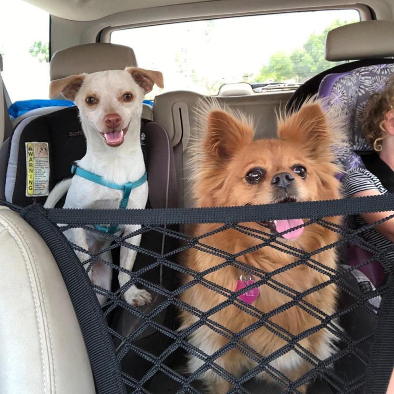 Dog Car Seat Isolation Net Car Anti-wrestling Pet Supplies