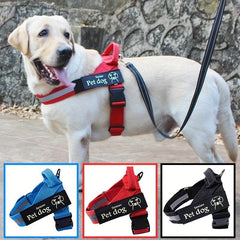 Explosion Proof Dog Harness for Safety and Security
