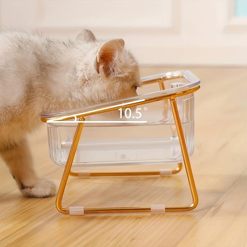 Elevated Transparent Pet Cat Bowl with Stand