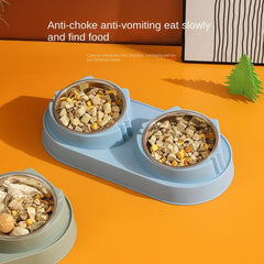 Double Bowl Pet Food Bowl with Anti Fall Design