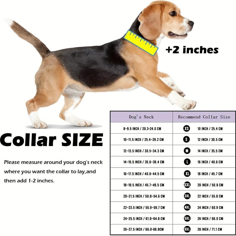 Stainless Steel Dog Collar Safety Lock Chain Collar for Small Medium Large Dogs