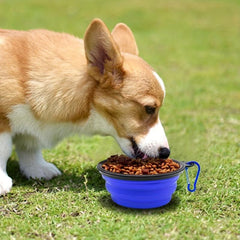 2pcs Collapsible Dog Bowl Silicone Pet Food & Water Bowl for Travel