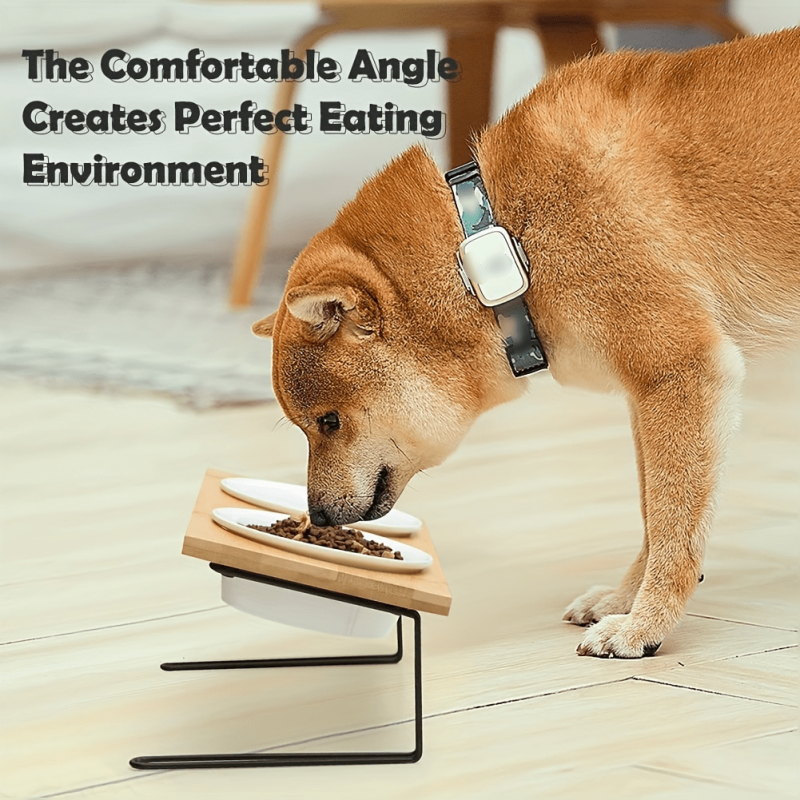 Non Slip Ceramic Pet Food Bowls with High Platform for Cats and Dogs