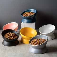 Elevate Your Pet's Feeding Experience with Elevated Ceramic Bowls