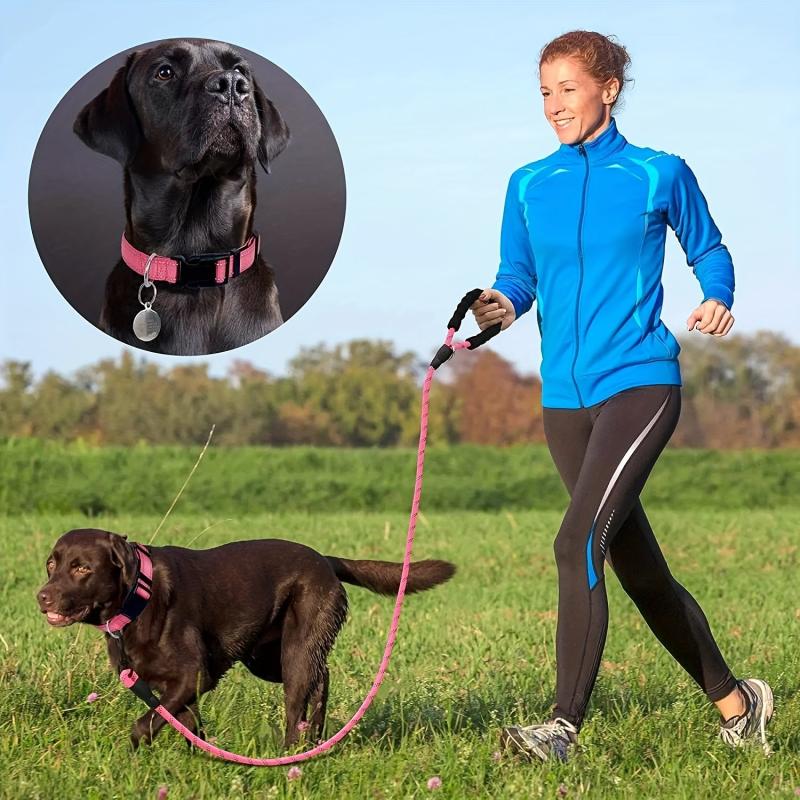 Adjustable Dog Collar & Leash Set for Small-Medium Dogs