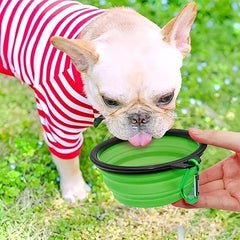 Collapsible Dog Bowl Silicone Pet Food & Water Bowl
