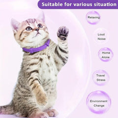 Calming Cat Collar Reduce Stress & Anxiety