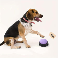 4pcs Pet Recording Button Training Buzzer Toy Supplies