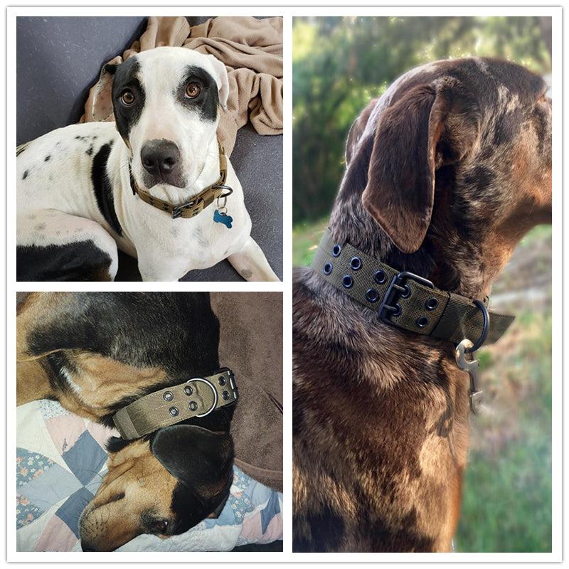 Adjustable Tactical Dog Collar for Training - Medium & Large Dogs