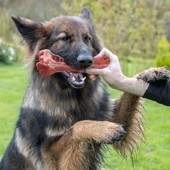 Indestructible Dog Chew Bone for Aggressive Chewers - Natural Rubber Toy