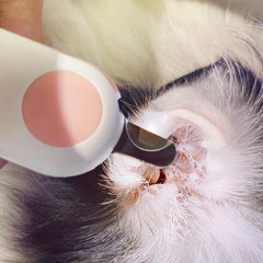 LED Pet Nail Clippers for Small Animals Easy and Safe Trimming
