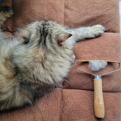 Pet Hair Remover For Dog & Cat Grooming Brush