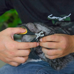 Professional Pet Nail Clipper Set for Healthy Paws