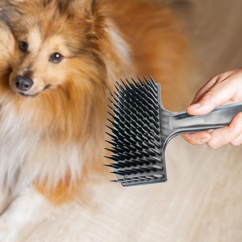 Self Cleaning Pet Brush Grooming Comb for Dogs & Cats